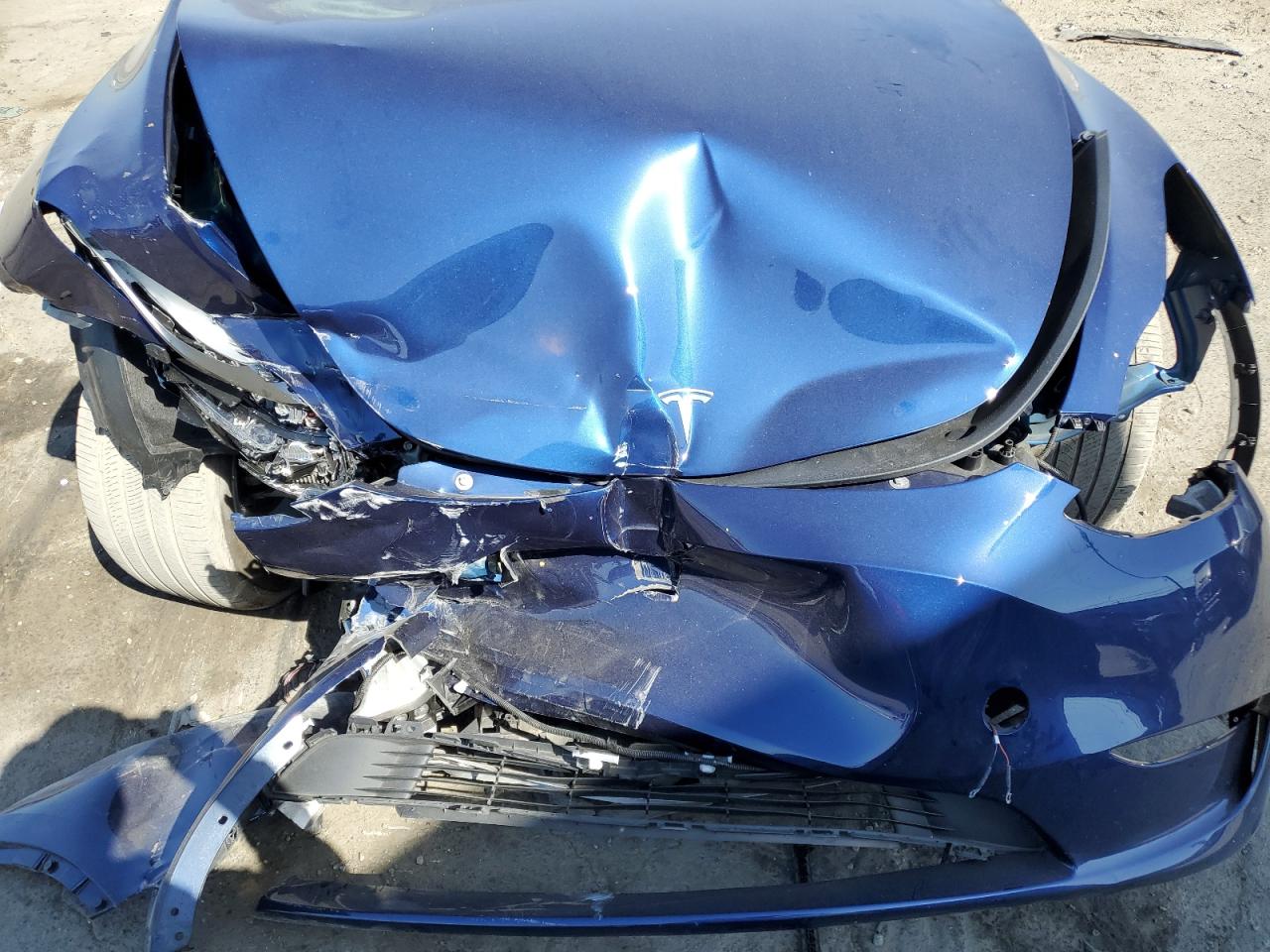 2023 Tesla Model Y VIN: 7SAYGDEE8PA207726 Lot: 66963545