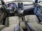 2011 HONDA CR-V LX   à vendre chez Copart CT - HARTFORD SPRINGFIELD