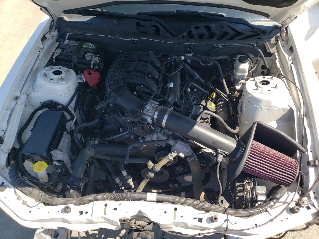 2011 Ford Mustang VIN: 1ZVBP8AM5B5119749 Lot: 65760385