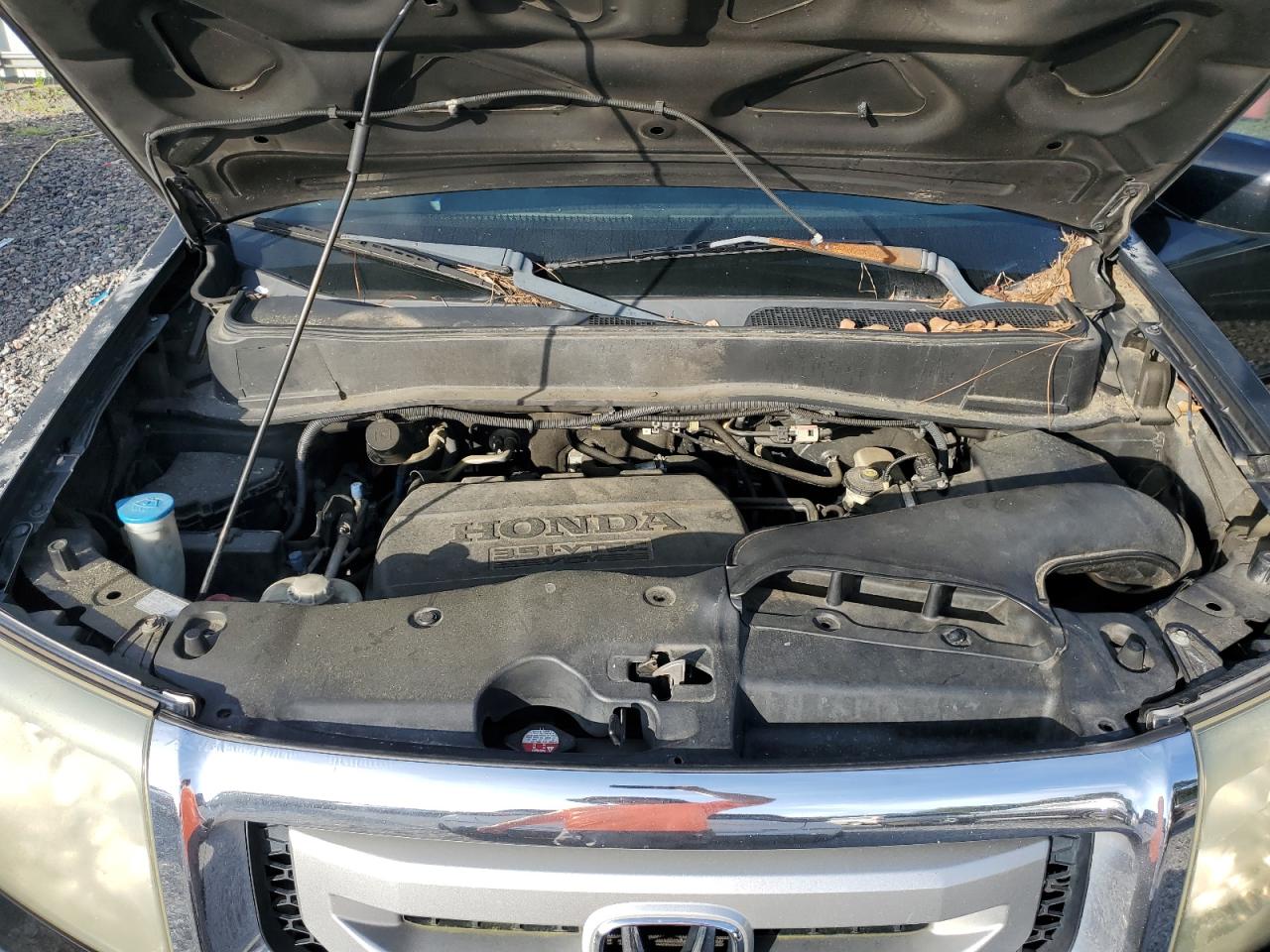 2011 Honda Pilot Exl VIN: 5FNYF3H59BB007889 Lot: 64887195