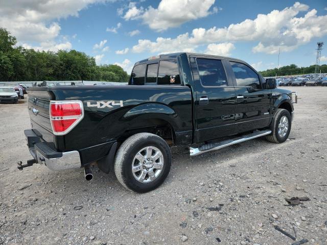  FORD F-150 2013 Zielony