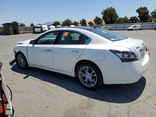  NISSAN MAXIMA 2014 Biały