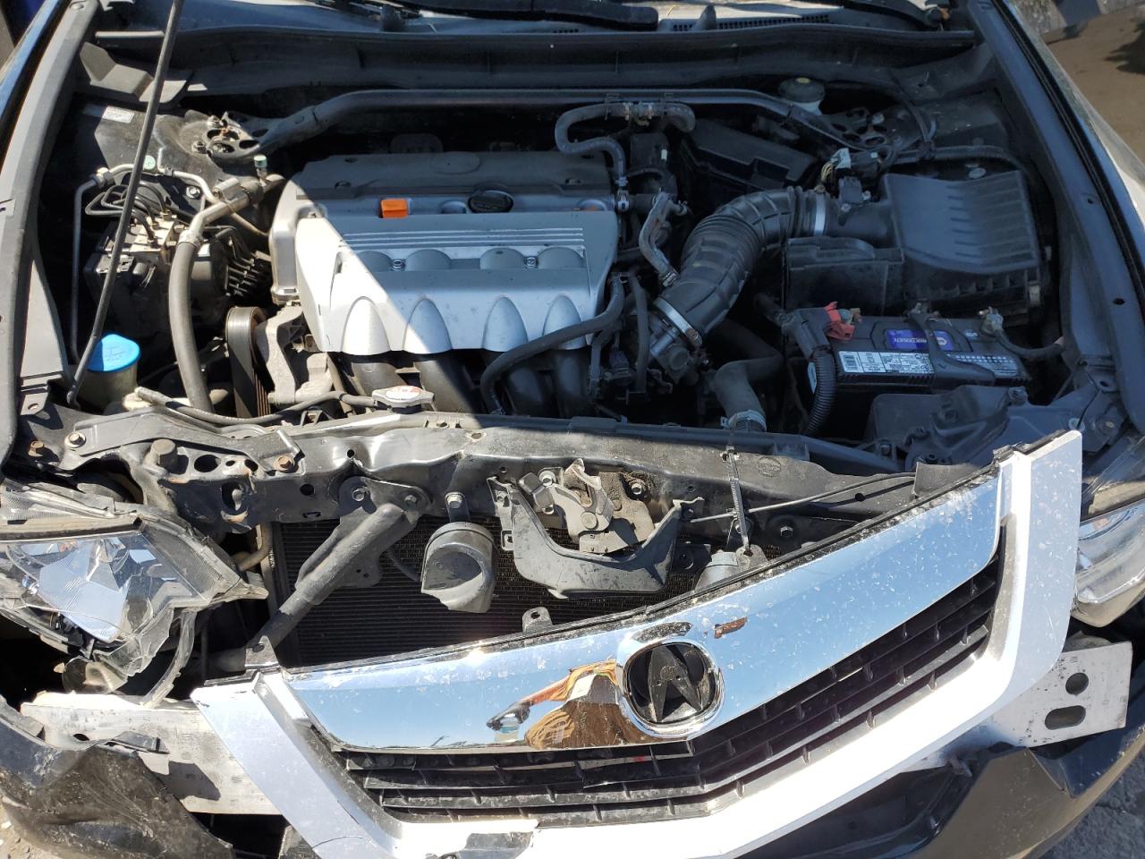 2010 Acura Tsx VIN: JH4CU2F64AC012207 Lot: 65645215