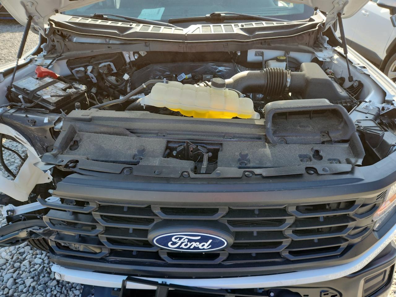 2019 Ford F150 Xl VIN: 1FTEW1KP5RKE47283 Lot: 65404525