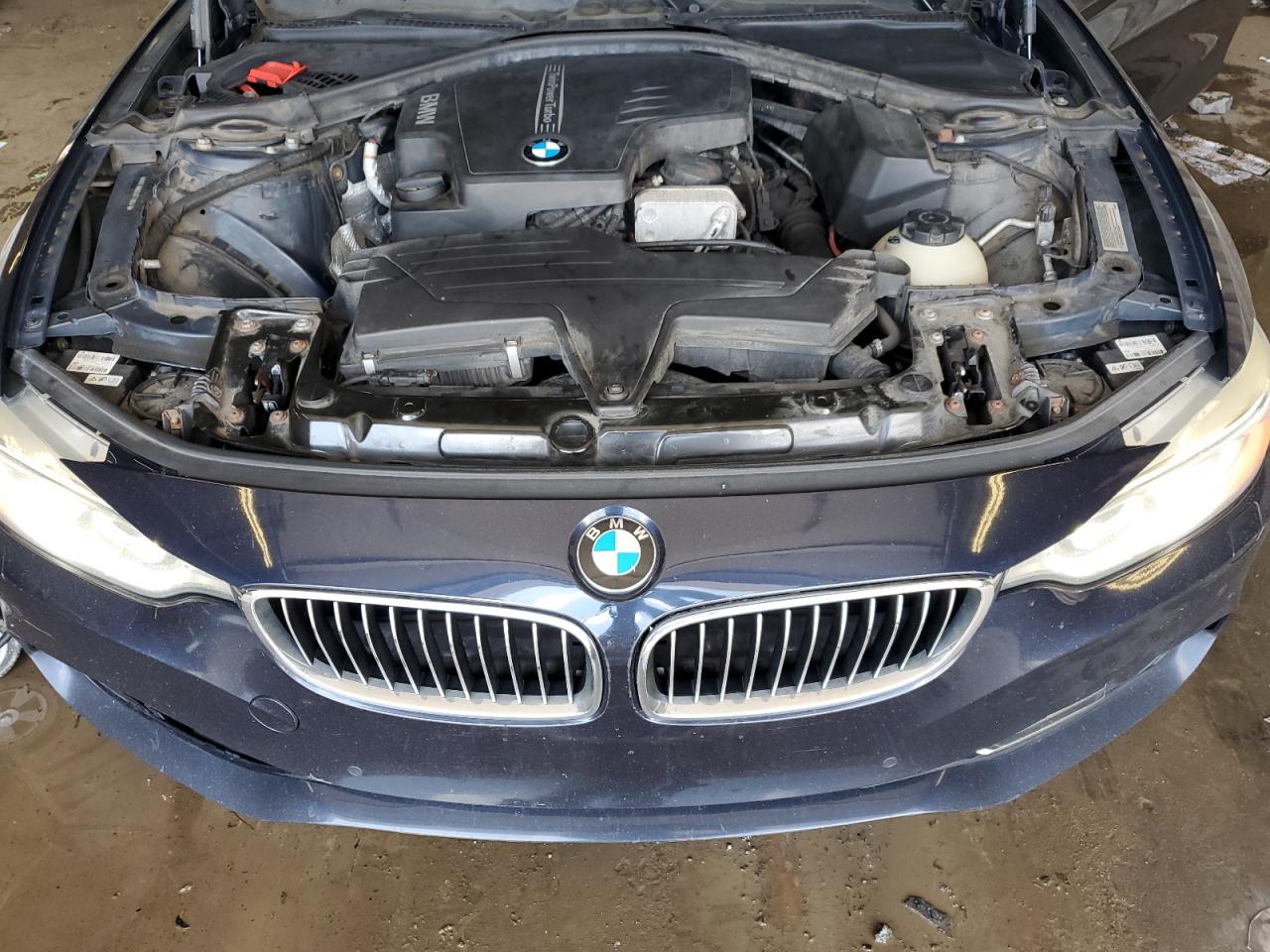 2014 BMW 428 Xi VIN: WBA3N9C53EF720341 Lot: 64796255