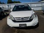 2011 HONDA CR-V EX   for sale at Copart ON - TORONTO