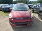 2014 FORD ESCAPE SE   à vendre chez Copart MA - NORTH BOSTON