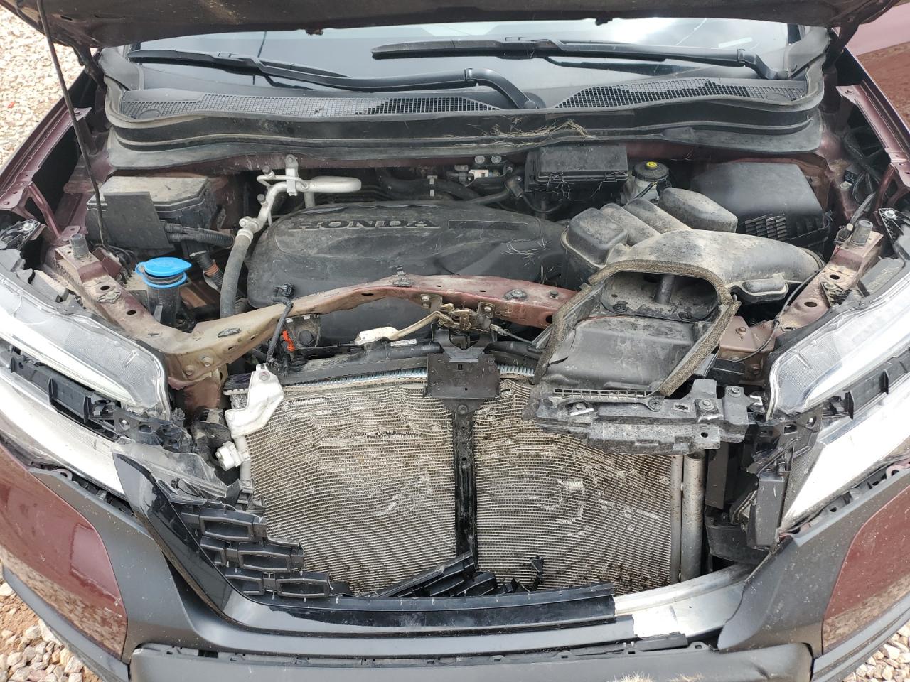 2021 Honda Passport Elite VIN: 5FNYF8H0XMB035110 Lot: 64975875