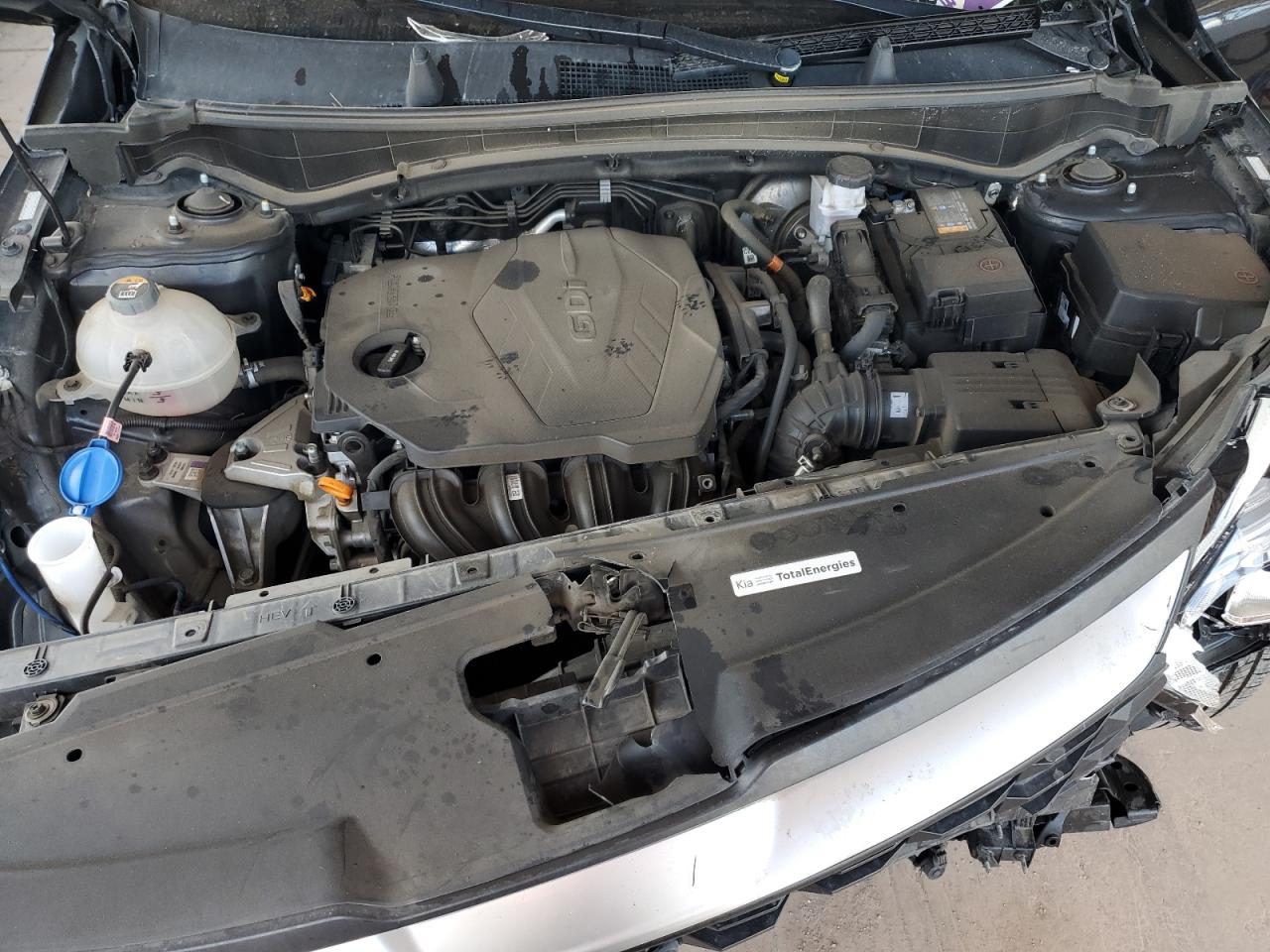 2023 Kia Sportage Lx VIN: KNDPU3AF9P7099586 Lot: 65215355