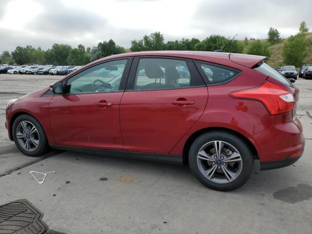Hatchbacks FORD FOCUS 2014 Maroon
