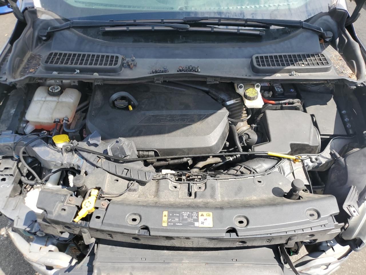 2014 Ford Escape Se VIN: 1FMCU0GX2EUD47765 Lot: 65317555