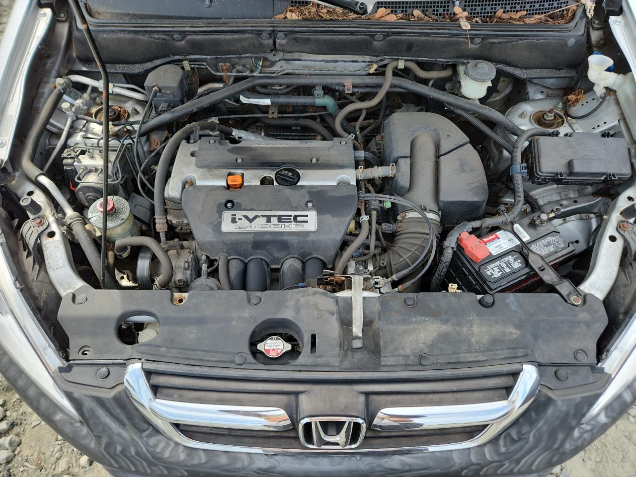 2004 Honda Cr-V Ex VIN: SHSRD78894U208022 Lot: 65124425