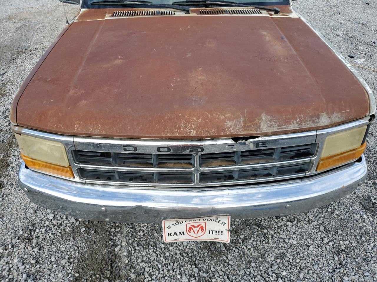 1996 Dodge Dakota VIN: 1B7FL26X1TS555646 Lot: 64452055