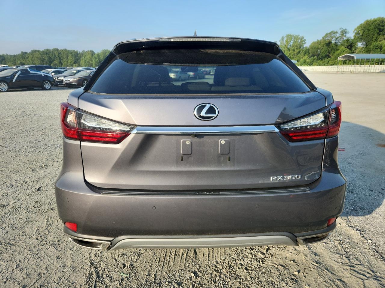 2020 Lexus Rx 350 VIN: 2T2HZMAA5LC168553 Lot: 64971045