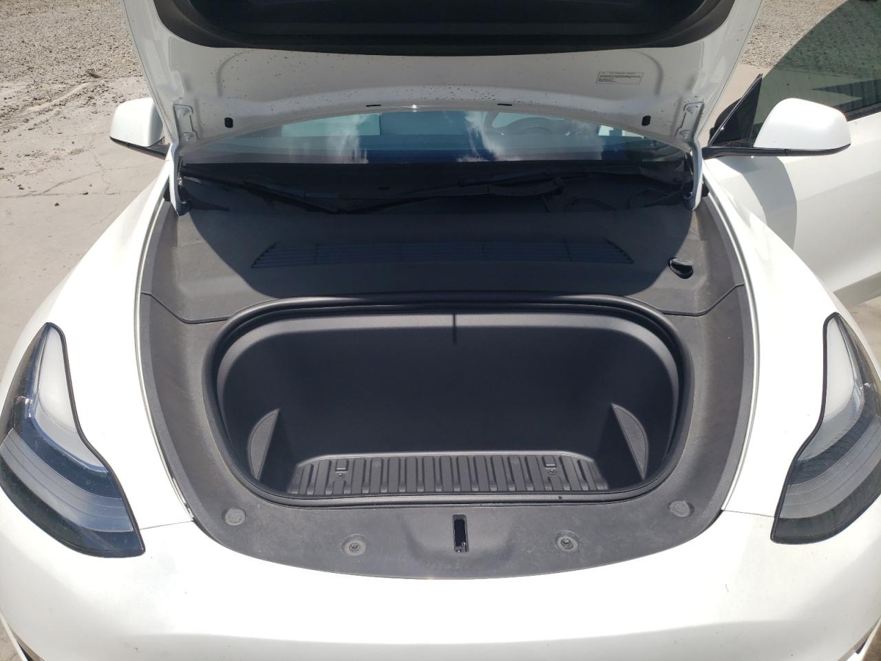 2023 Tesla Model Y VIN: 7SAYGDEE6PA117443 Lot: 62887265