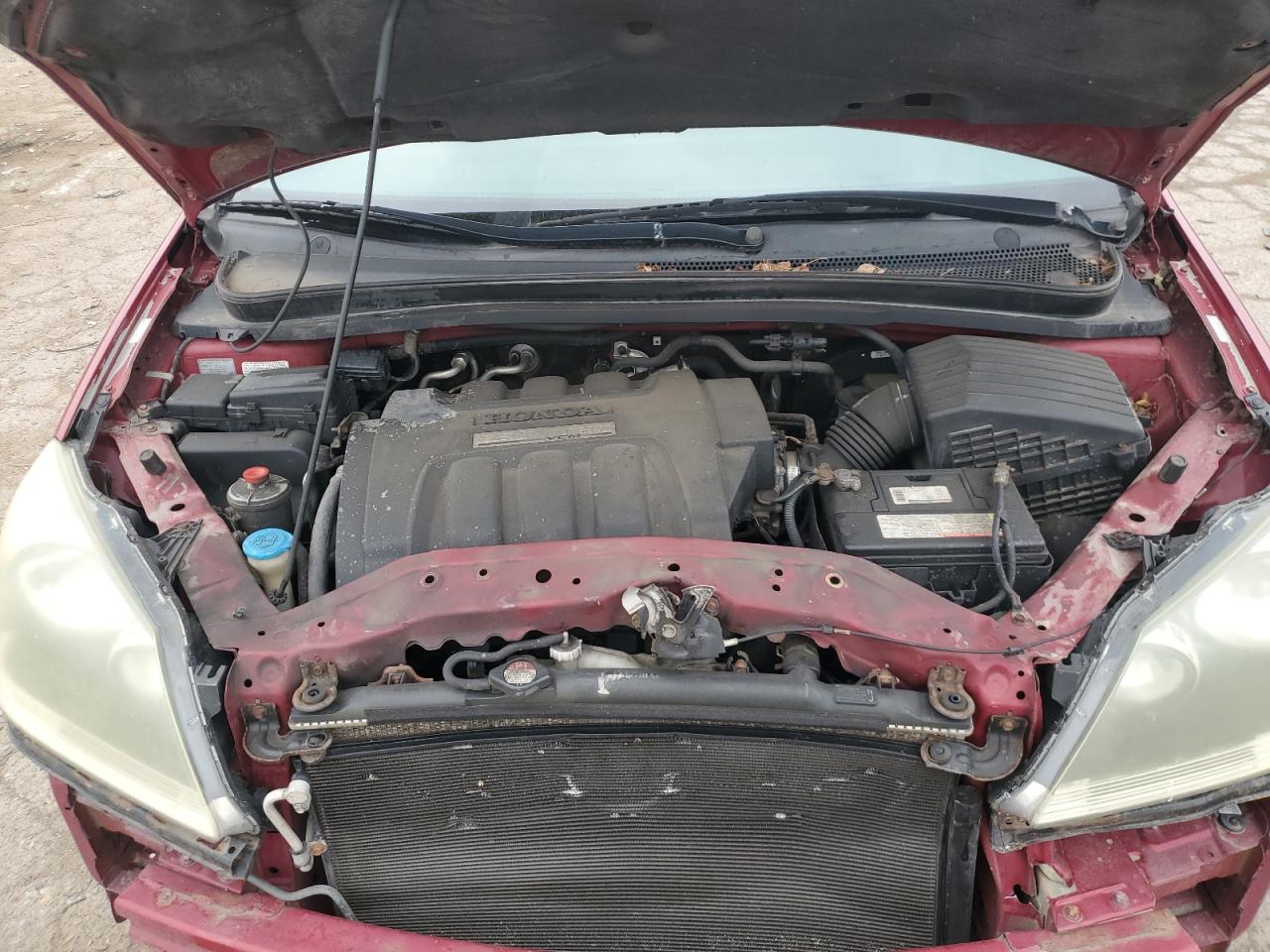 2006 Honda Odyssey Exl VIN: 5FNRL38606B407061 Lot: 65318825