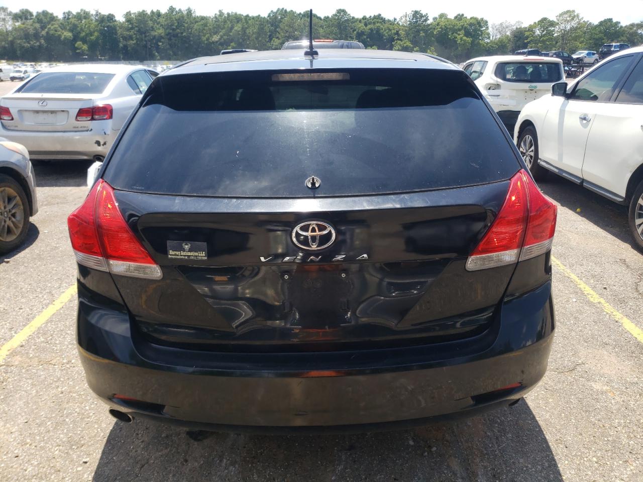 2009 Toyota Venza VIN: 4T3ZK11A09U007389 Lot: 63434655