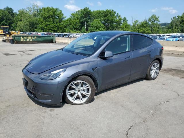  TESLA MODEL Y 2023 Gray