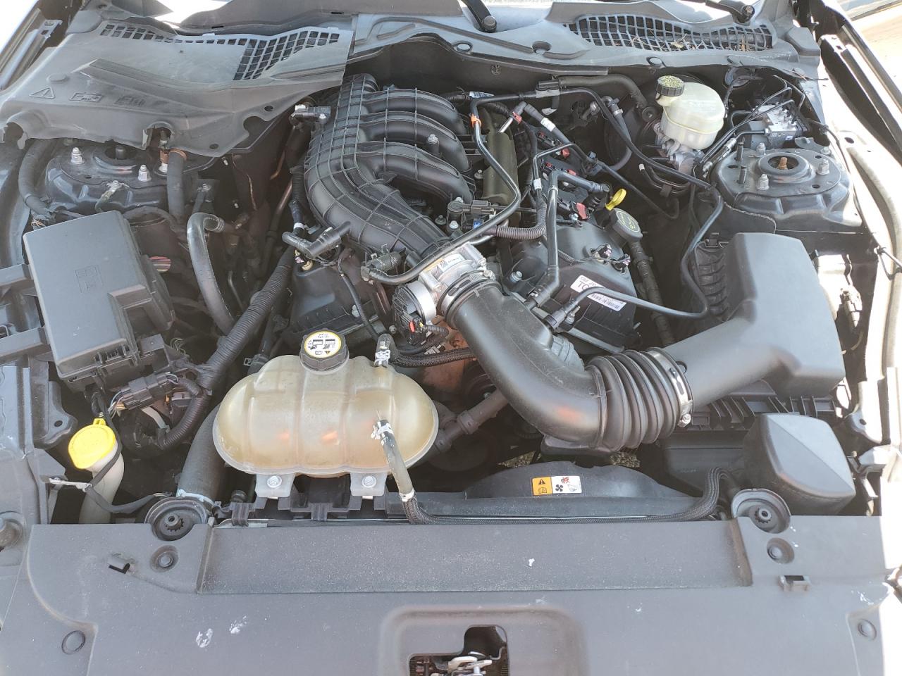 2016 Ford Mustang VIN: 1FA6P8AM0G5317768 Lot: 66488555