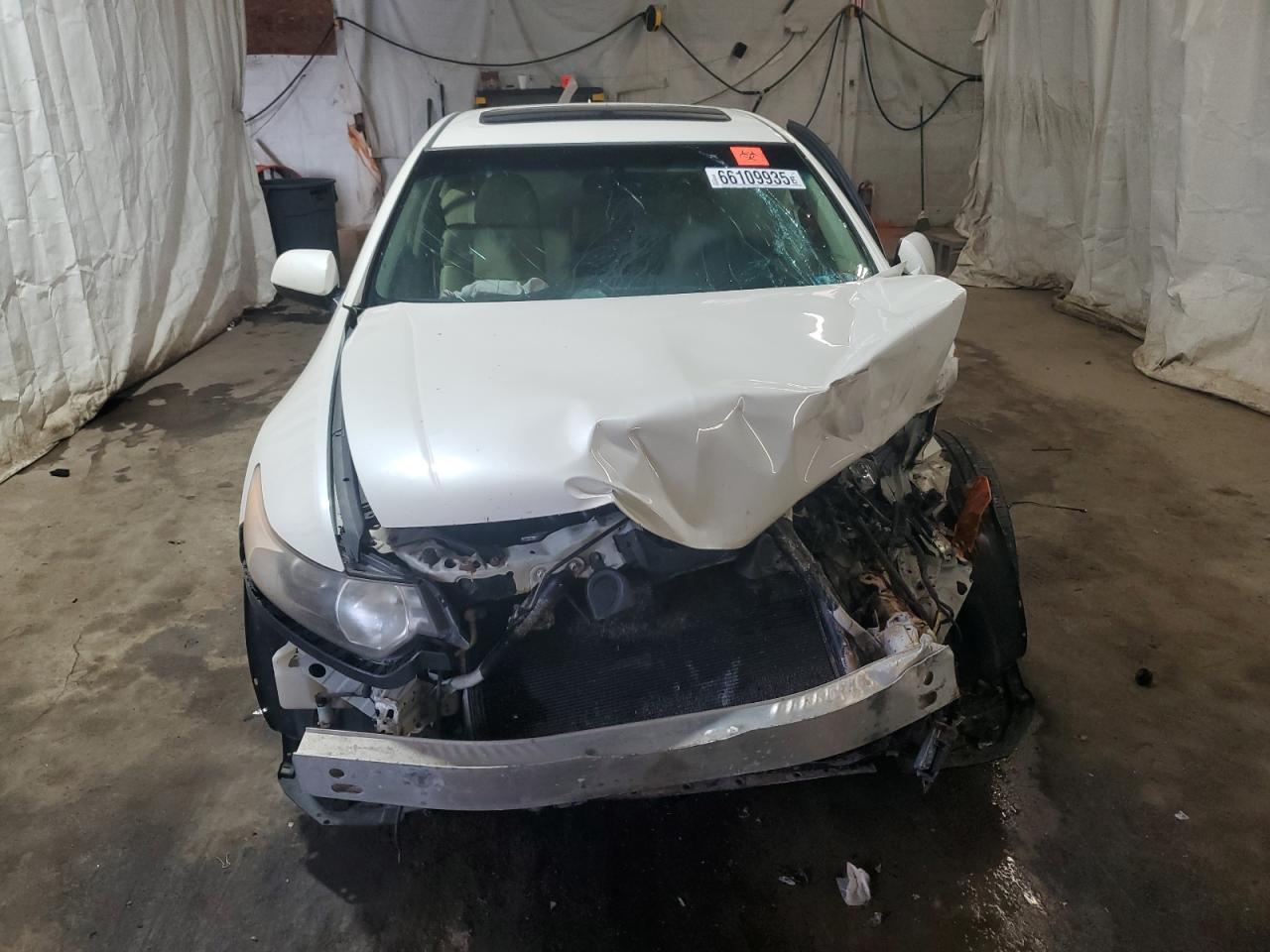 2010 Acura Tsx VIN: JH4CU2F66AC038100 Lot: 66109935