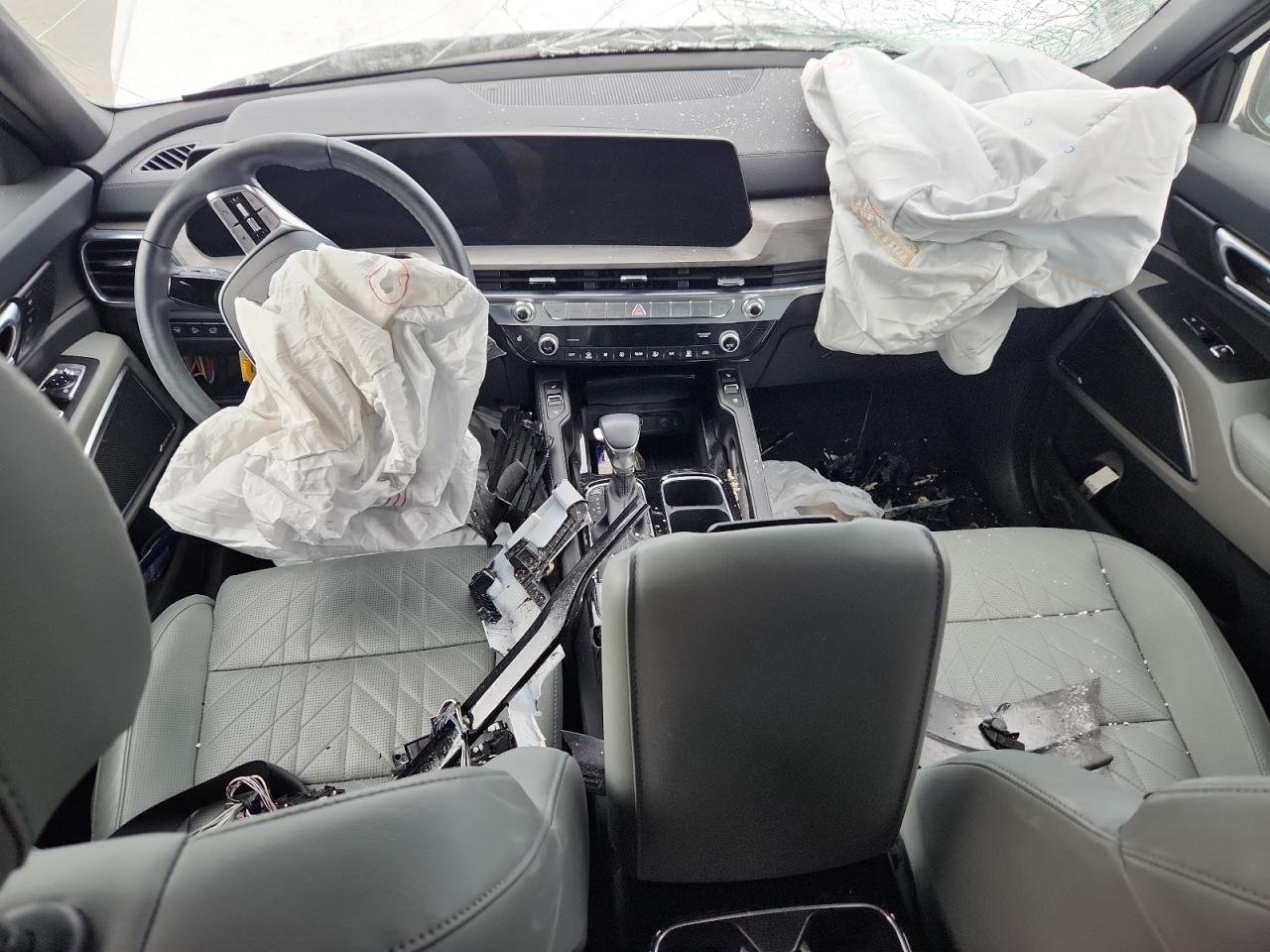 2024 Kia Telluride Sx VIN: 5XYP5DGC6RG553511 Lot: 64155775