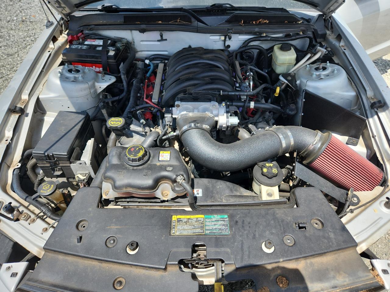 2006 Ford Mustang Gt VIN: 1ZVFT82H365125599 Lot: 64982455
