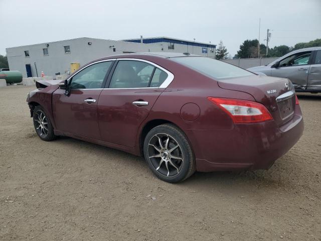 2010 NISSAN MAXIMA S  