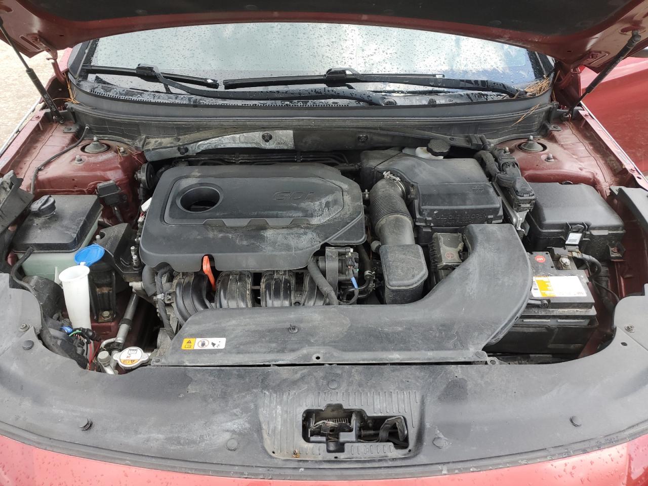 2016 Hyundai Sonata Sport VIN: 5NPE34AF9GH427438 Lot: 66617765