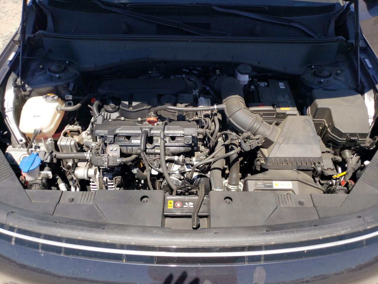 km8he3a34ru124241 KM8HE3A34RU124241 2024 Hyundai Kona Limited