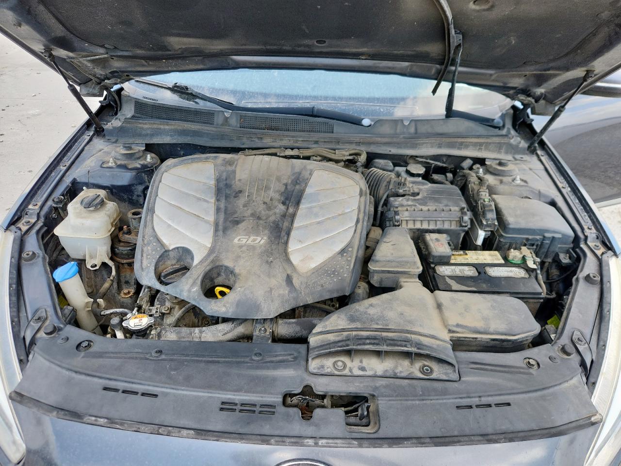 2014 Kia Cadenza Premium VIN: KNALN4D78E5132007 Lot: 60778395