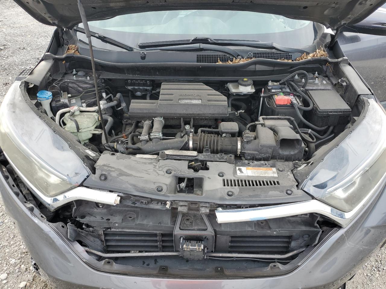 2019 Honda Cr-V Ex VIN: 5J6RW1H5XKA017164 Lot: 64304075