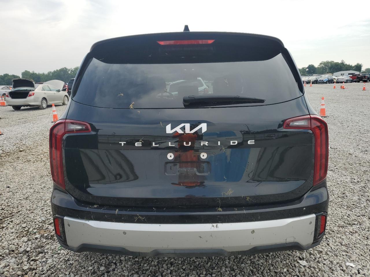 2024 Kia Telluride Lx VIN: 5XYP24GC6RG530772 Lot: 65376835