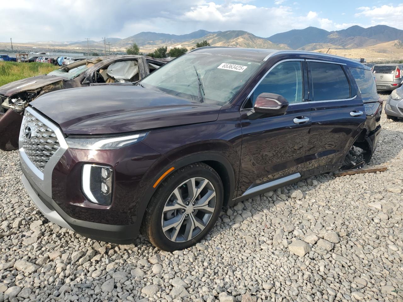 2020 Hyundai Palisade Sel VIN: KM8R4DHE7LU093501 Lot: 65363425