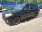 2011 HYUNDAI SANTA FE SE   à vendre chez Copart NB - MONCTON