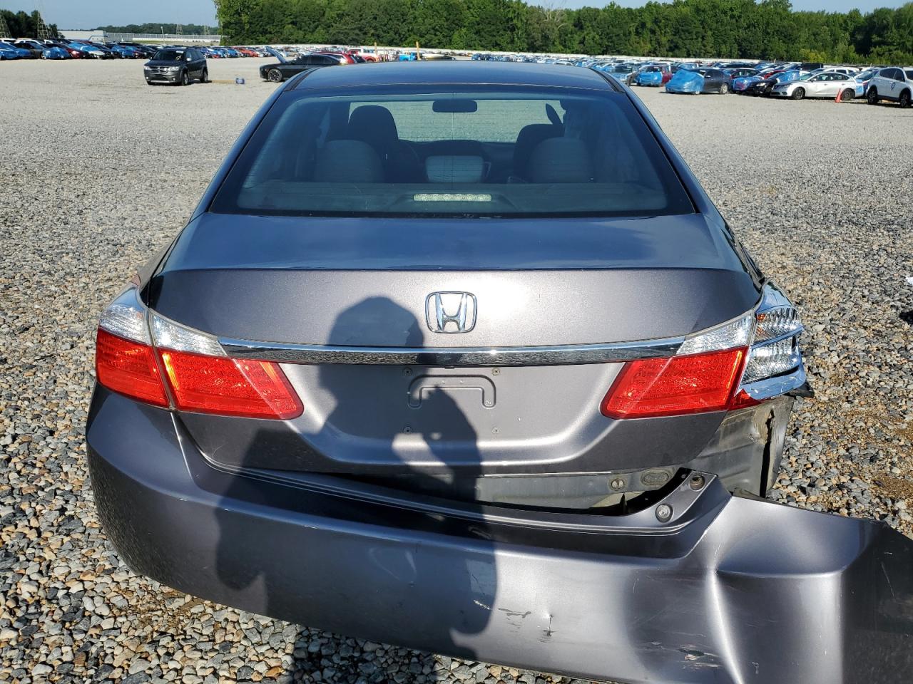2015 Honda Accord Lx VIN: 1HGCR2F31FA069901 Lot: 64934435