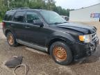 2011 FORD ESCAPE XLT   for sale at Copart ON - COOKSTOWN