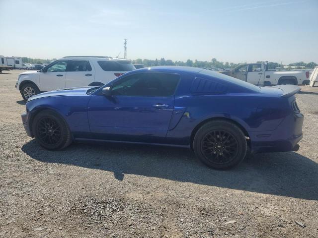 2013 FORD MUSTANG   