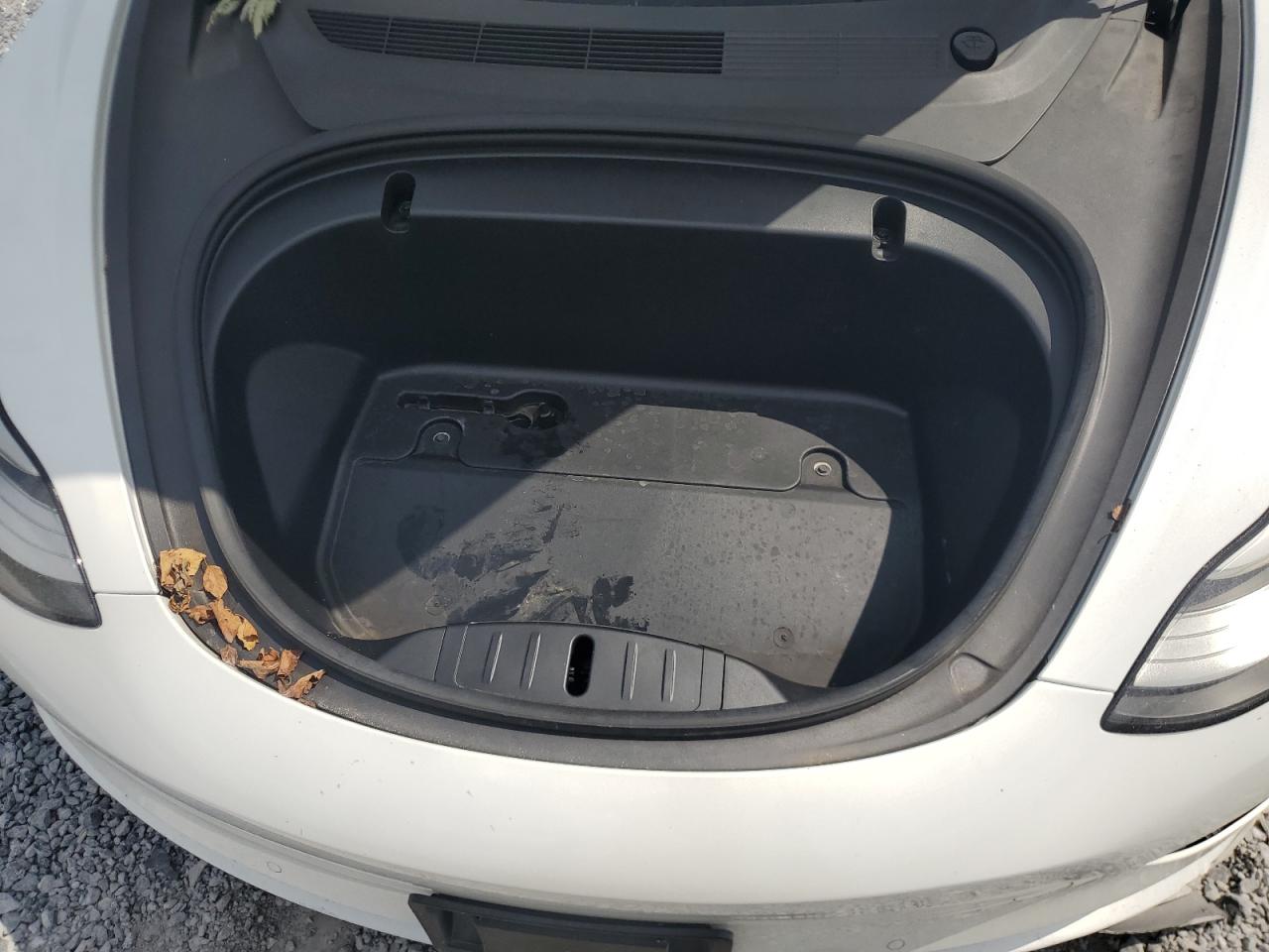 2020 Tesla Model 3 VIN: 5YJ3E1EAXLF591241 Lot: 63213735