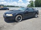 1999 FORD MUSTANG COBRA SVT   à vendre chez Copart NC - RALEIGH