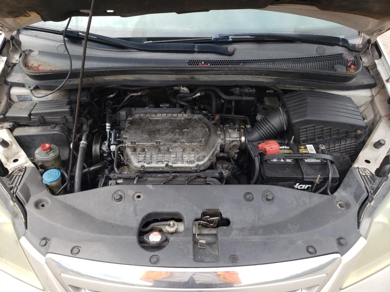 2006 Honda Odyssey Exl VIN: 5FNRL38716B024769 Lot: 64671965