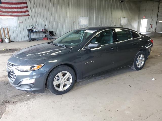  CHEVROLET MALIBU 2020 Gray