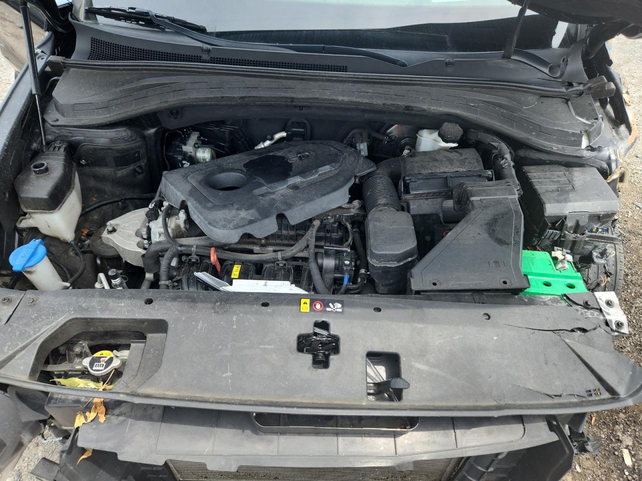 2019 Hyundai Santa Fe Limited VIN: 5NMS5CAD6KH086799 Lot: 64751635