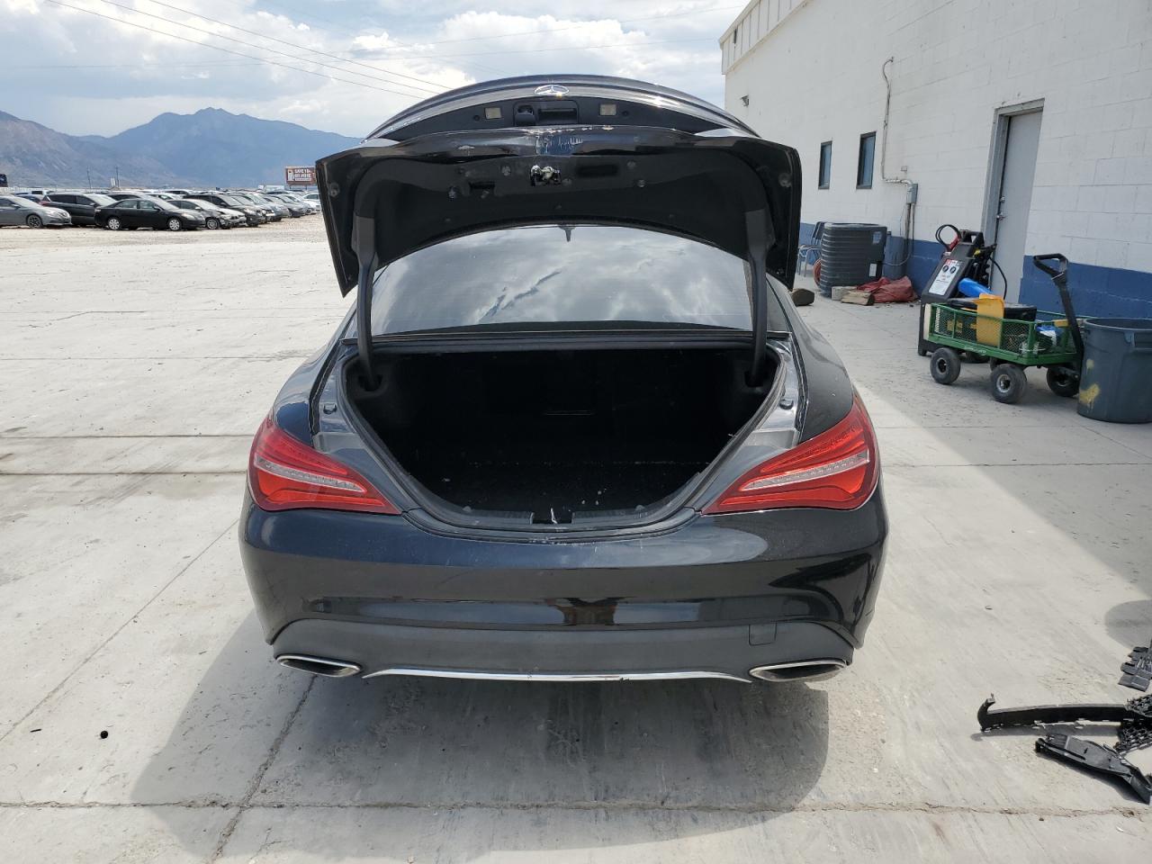 2019 Mercedes-Benz Cla 250 VIN: WDDSJ4EBXKN769656 Lot: 63384815