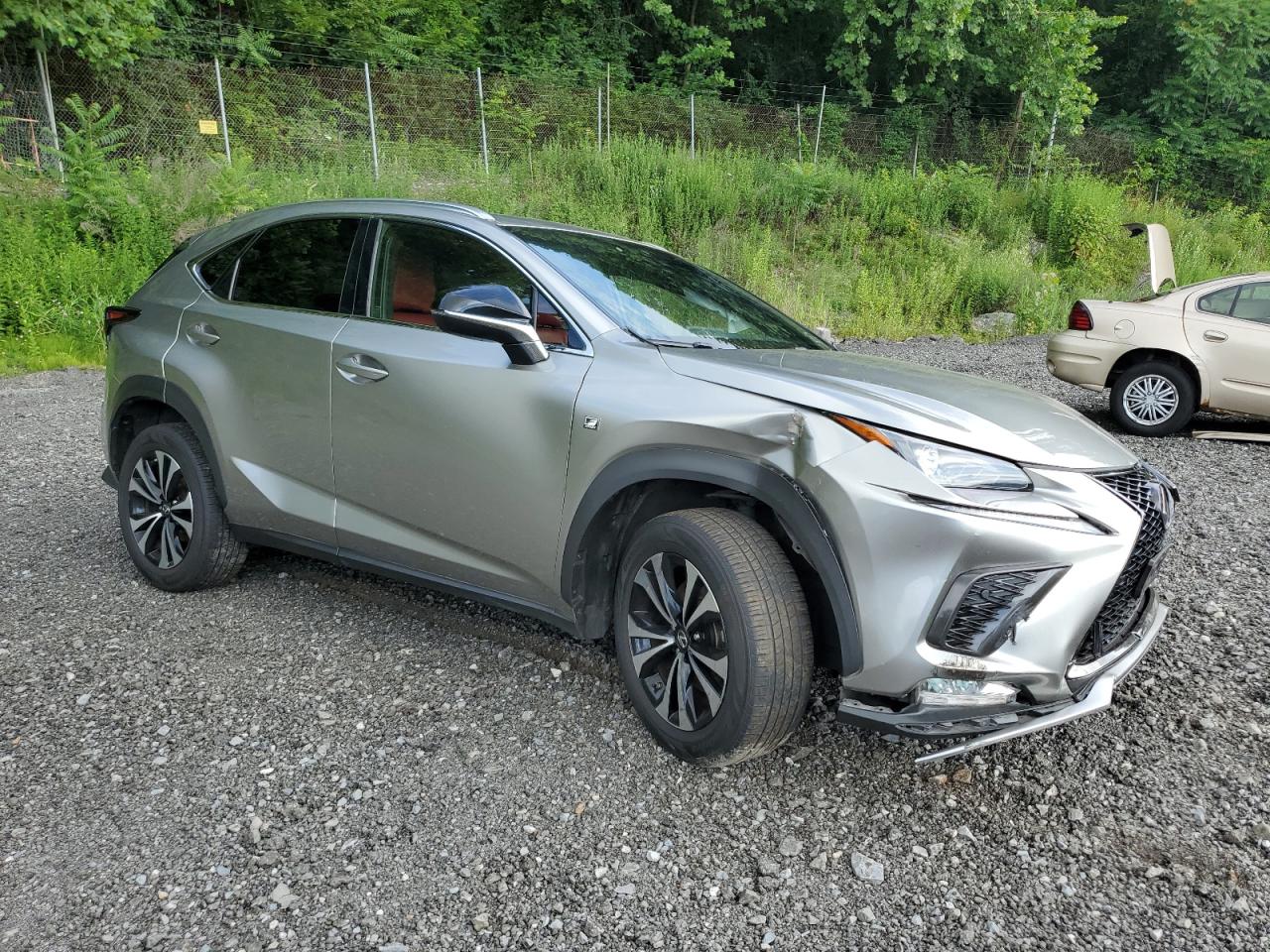 2021 Lexus Nx 300 Base VIN: JTJSARDZ1M2246159 Lot: 62236145