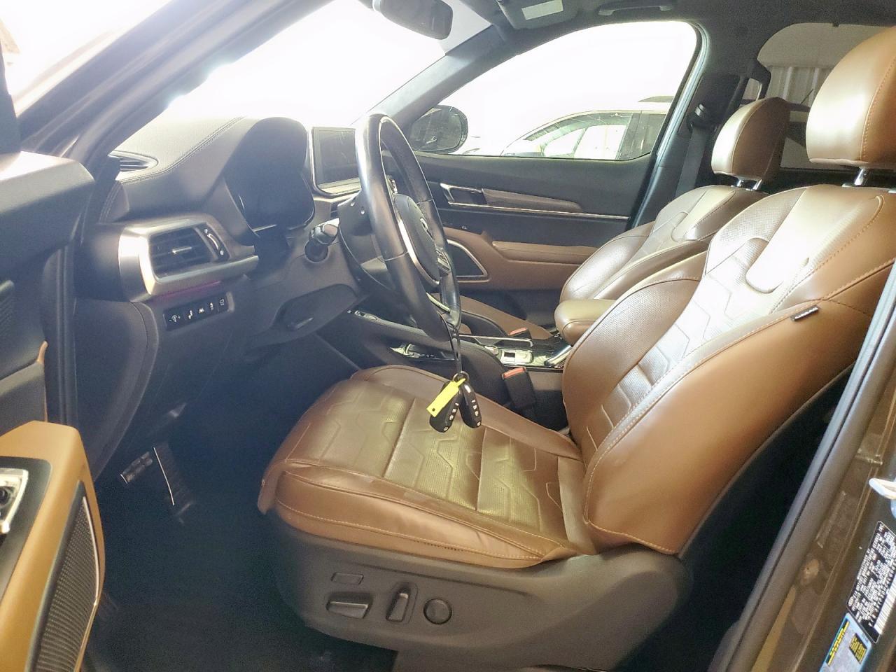 2020 Kia Telluride Sx VIN: 5XYP5DHC4LG065132 Lot: 63984315