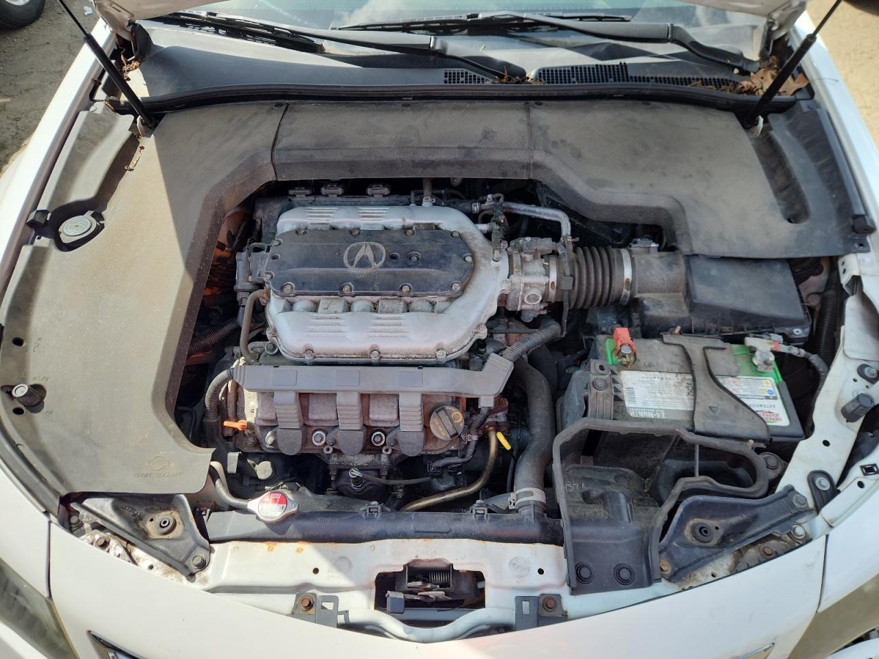 19uua8f38ea000488 19UUA8F38EA000488 2014 Acura Tl Se