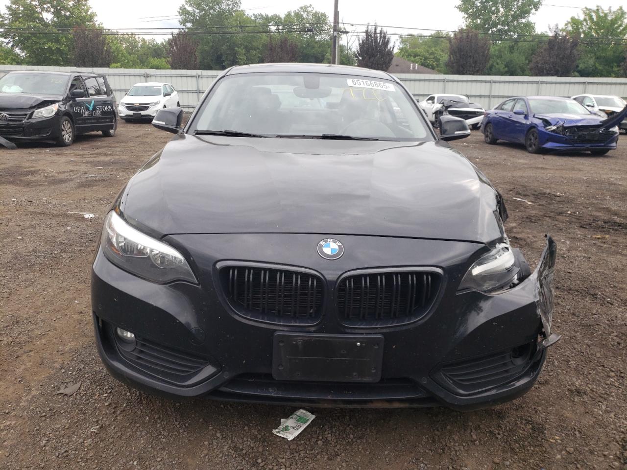 2015 BMW 228 Xi VIN: WBA1F7C56FVX96295 Lot: 65166865