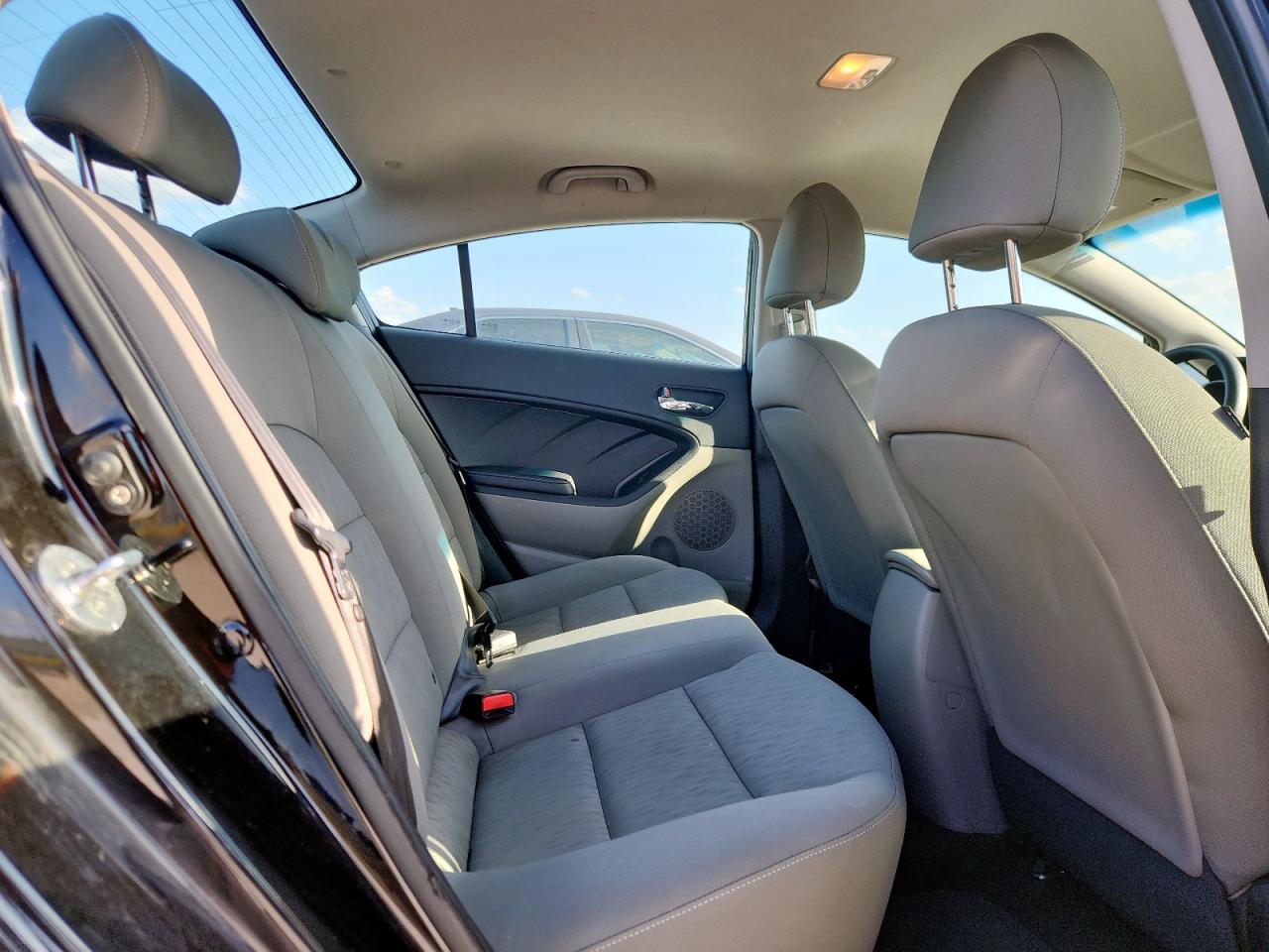 2015 Kia Forte Lx VIN: KNAFK4A64F5411005 Lot: 64052815