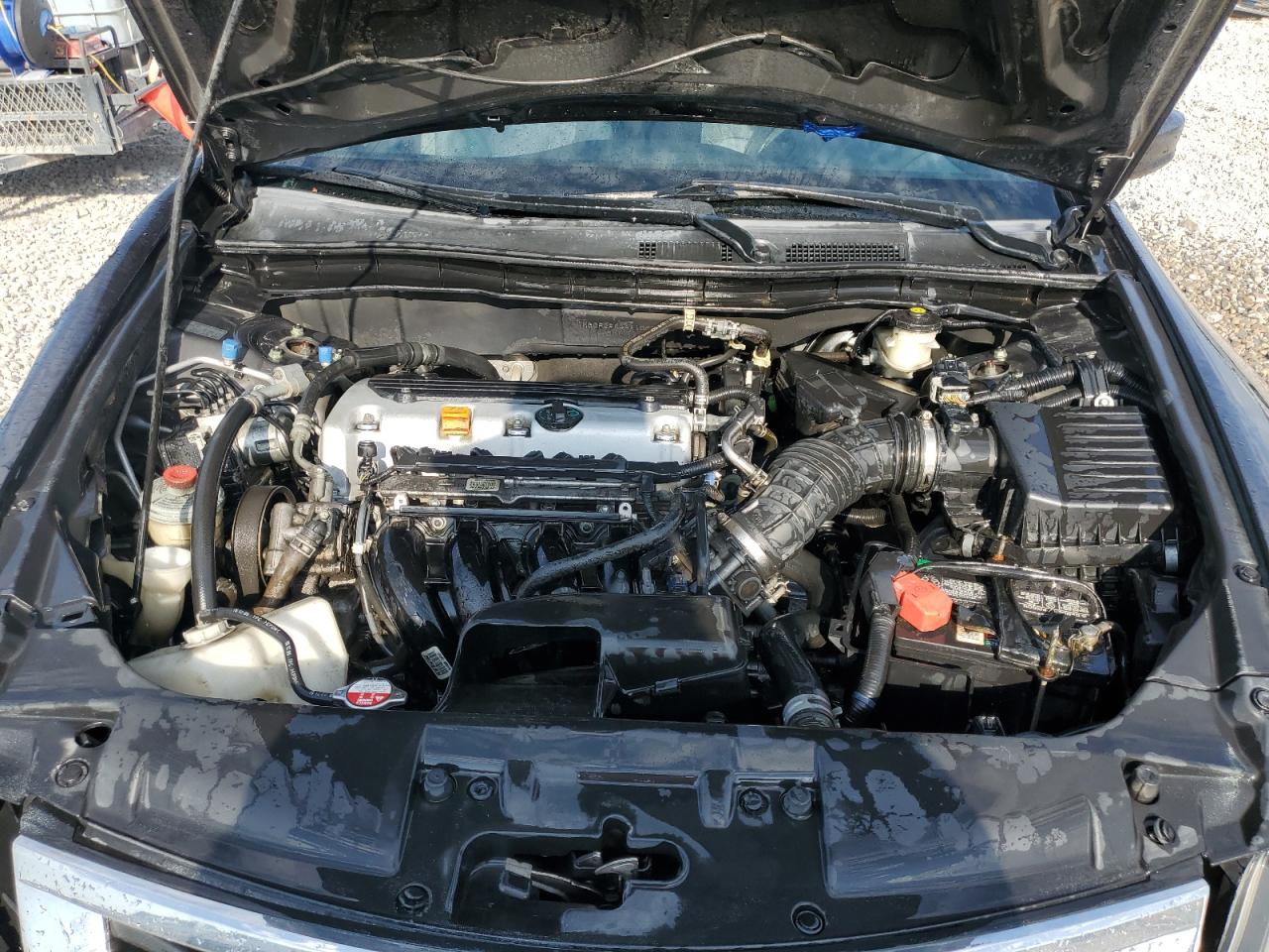 2010 Honda Accord Lxp VIN: 1HGCP2F44AA106866 Lot: 64868585