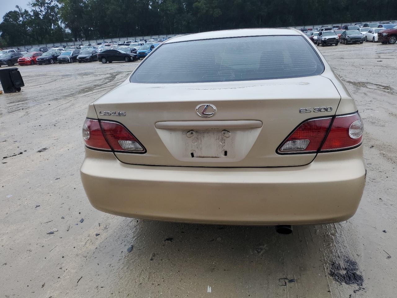 2003 Lexus Es 300 VIN: JTHBF30G730136733 Lot: 65066725